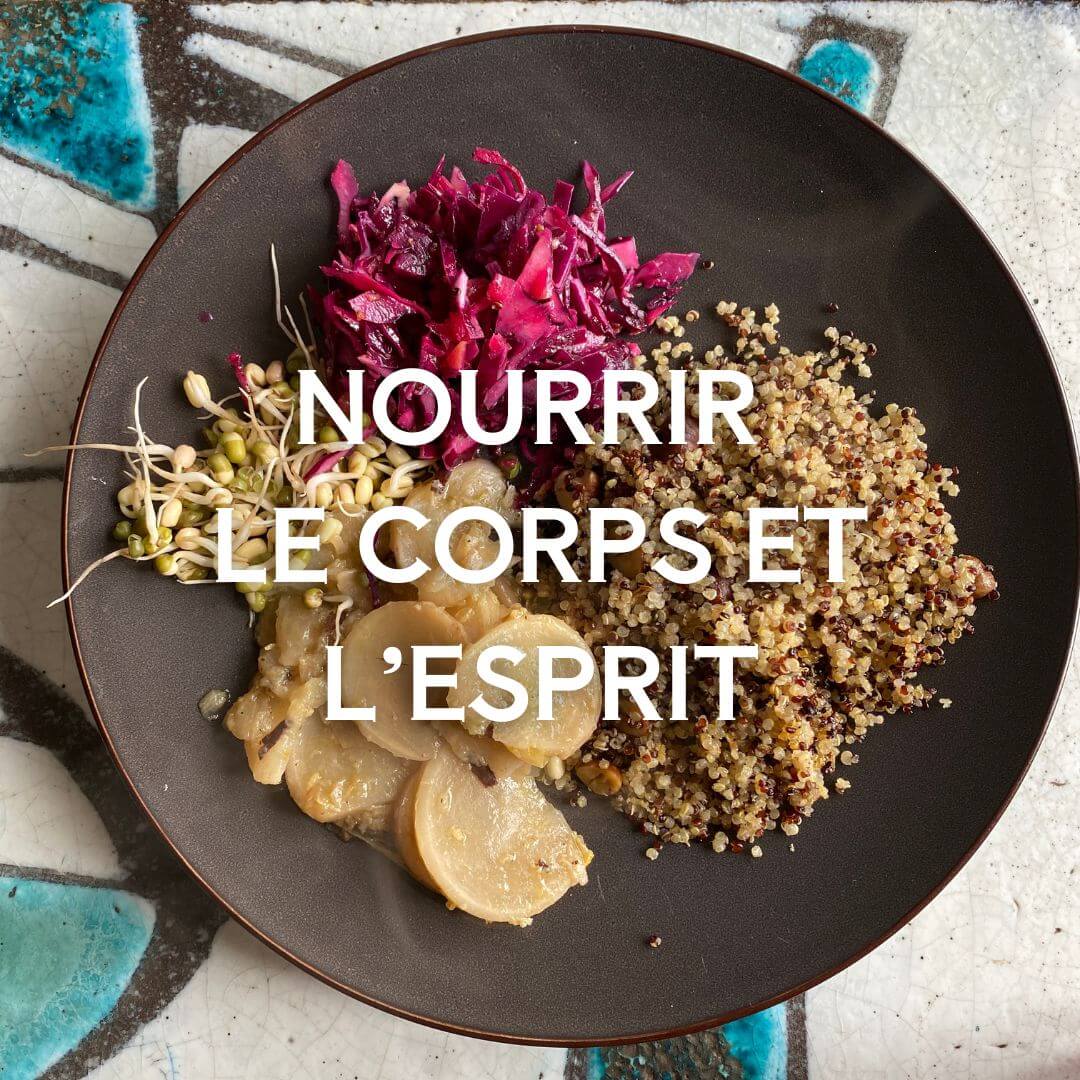 assiette de repas ayurvédique avec céréales complètes, crudités, graines germées, navets et épices préparée pendant un stage de cuisine avec Romain Cardinaud pour bien digérer et avoir une alimentation équilibrée